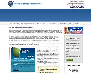 Professional resume service online reviews